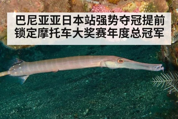 巴尼亚亚日本站强势夺冠提前锁定摩托车大奖赛年度总冠军